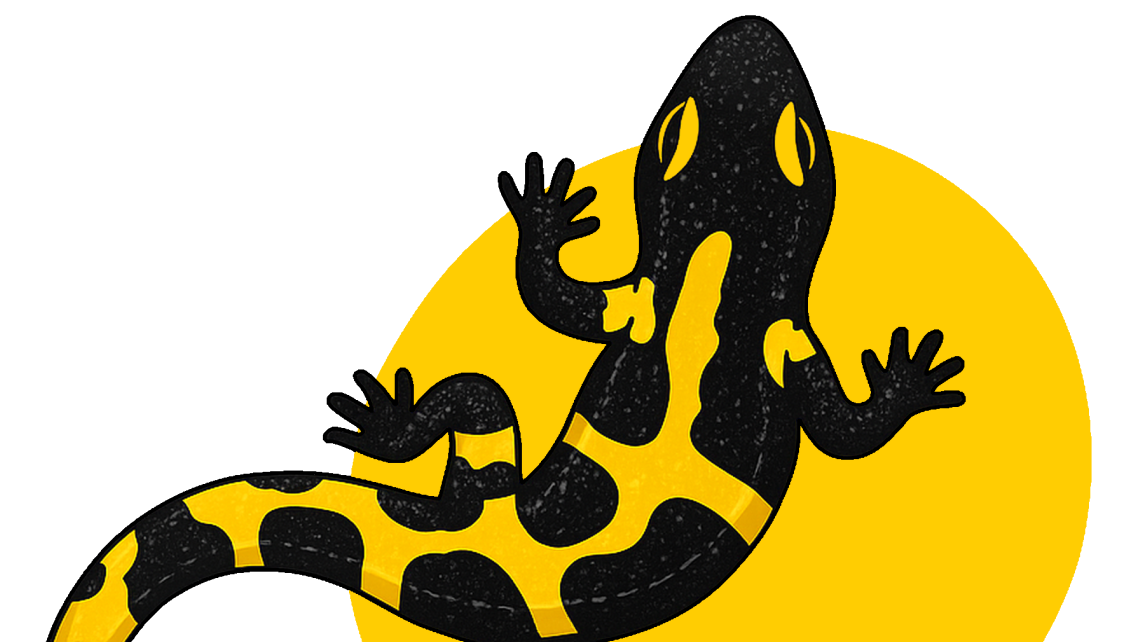 Logo Bottom Right Corner